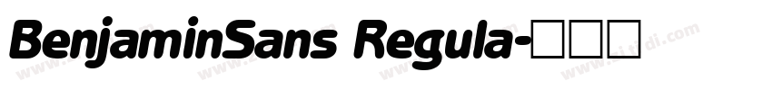 BenjaminSans Regula字体转换